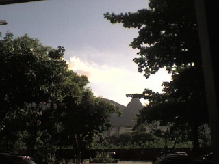 Sunny