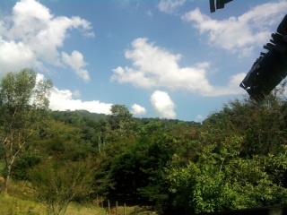 Surroundings